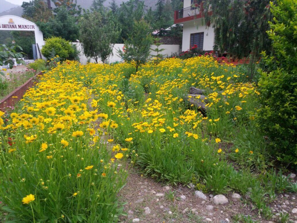 Anand Ganga Uttarkāshi Exterior foto